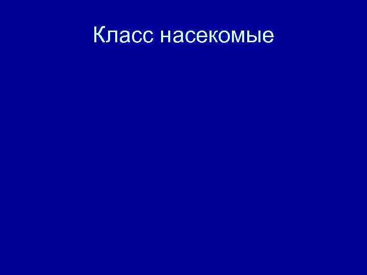 Класс насекомые 