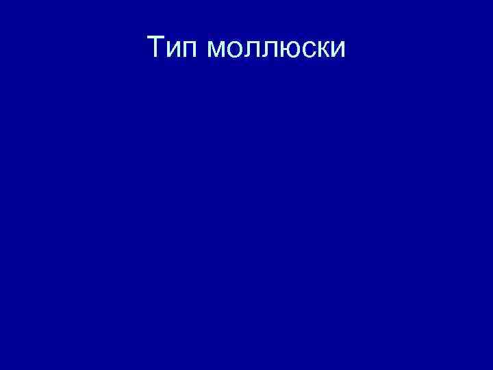 Тип моллюски 