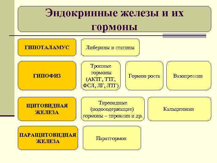 Эндокринные железы и их гормоны ГИПОТАЛАМУС ГИПОФИЗ Либерины и статины Тропные гормоны (АКТГ, ТТГ,