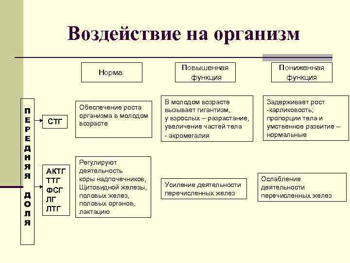 Чем работа эндокринной системы в плане осуществления процессов регуляции