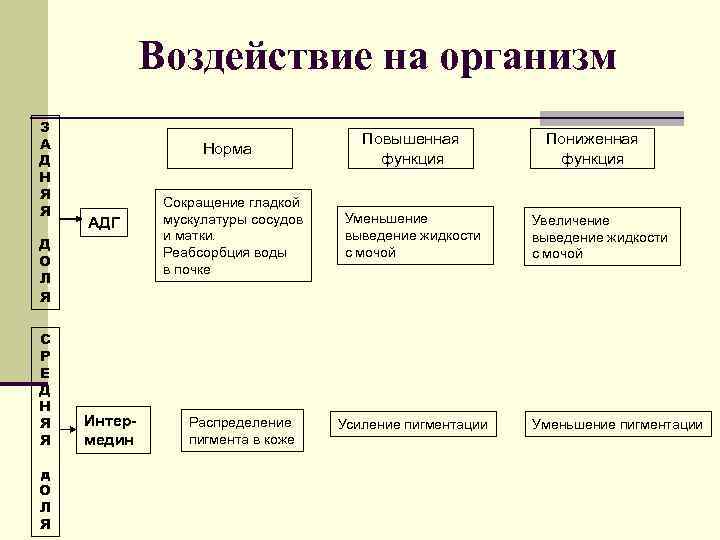 Воздействие на организм З А Д Н Я Я Норма АДГ Д О Л