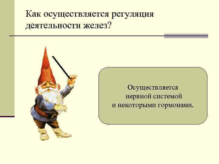 Как осуществляется регуляция деятельности желез? Осуществляется нервной системой и некоторыми гормонами. 