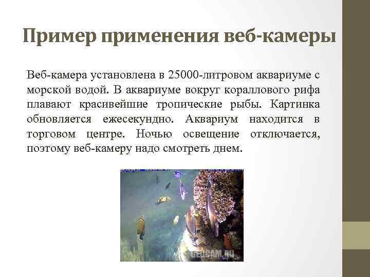 Пример применения веб-камеры Веб камера установлена в 25000 литровом аквариуме с морской водой. В