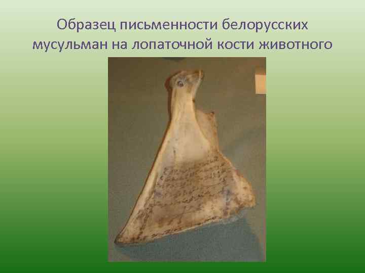 Образец письменности белорусских мусульман на лопаточной кости животного 