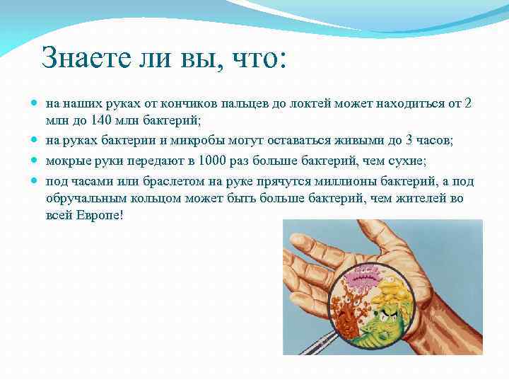 Знаете ли вы, что: на наших руках от кончиков пальцев до локтей может находиться