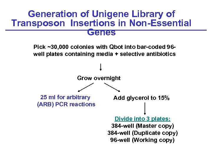 Generation of Unigene Library of Transposon Insertions in Non-Essential Genes Pick ~30, 000 colonies