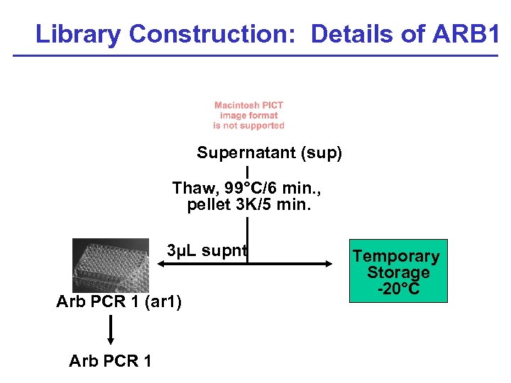 Library Construction: Details of ARB 1 P Supernatant (sup) Thaw, 99°C/6 min. , pellet