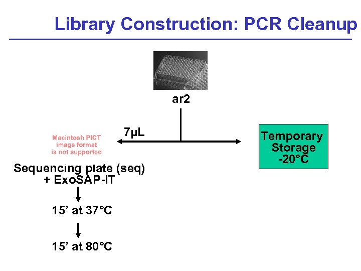 Library Construction: PCR Cleanup ar 2 7µL Sequencing plate (seq) + Exo. SAP-IT 15’