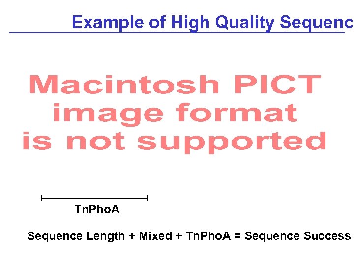 Example of High Quality Sequence Tn. Pho. A Sequence Length + Mixed + Tn.