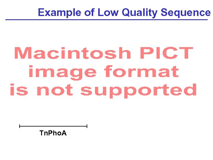 Example of Low Quality Sequence Tn. Pho. A 