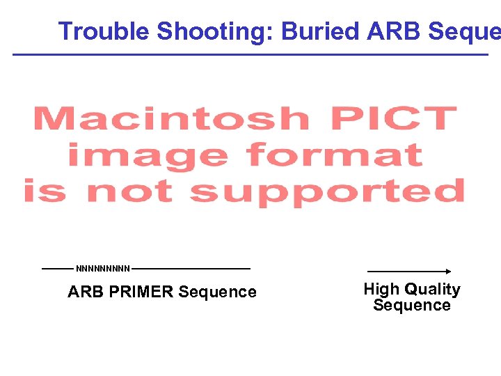 Trouble Shooting: Buried ARB Seque NNNNN ARB PRIMER Sequence High Quality Sequence 