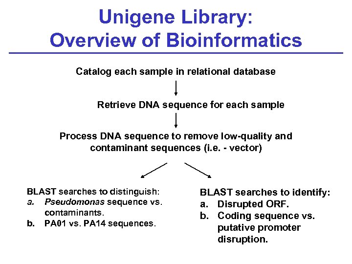 Unigene Library: Overview of Bioinformatics Catalog each sample in relational database Retrieve DNA sequence
