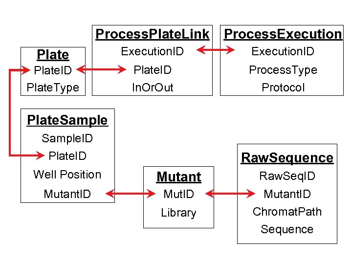 Process. Plate. Link Process. Execution Plate Execution. ID Plate. Type Plate. ID Process. Type