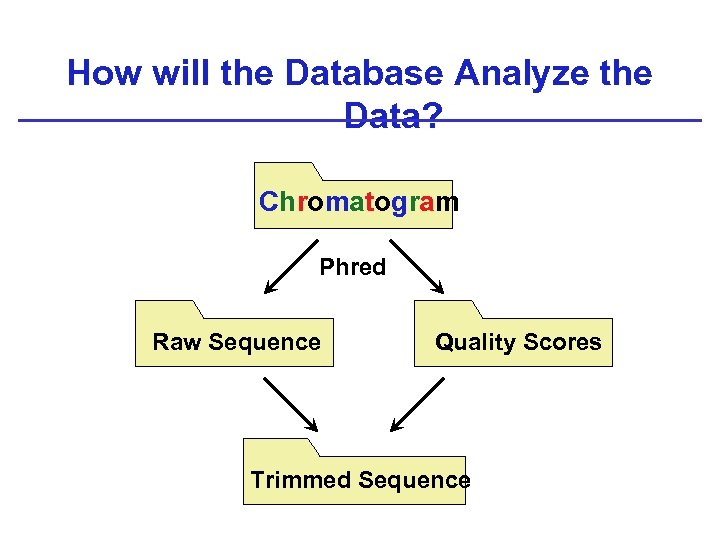 How will the Database Analyze the Data? Chromatogram Phred Raw Sequence Quality Scores Trimmed