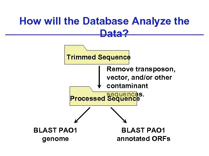 How will the Database Analyze the Data? Trimmed Sequence Remove transposon, vector, and/or other