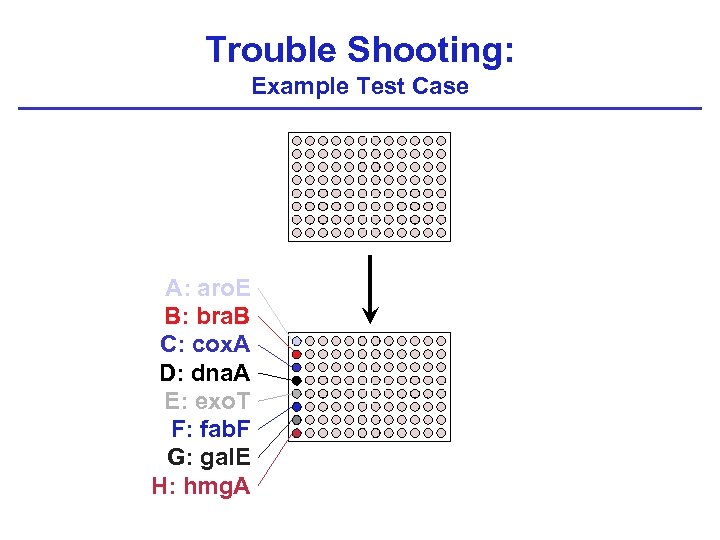 Trouble Shooting: Example Test Case A: aro. E B: bra. B C: cox. A