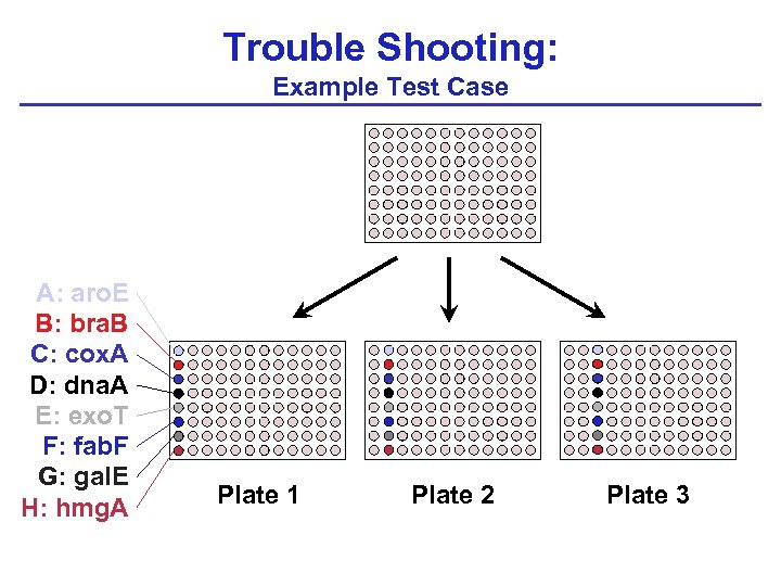 Trouble Shooting: Example Test Case A: aro. E B: bra. B C: cox. A