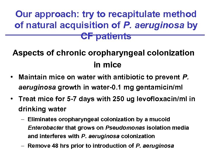 Our approach: try to recapitulate method of natural acquisition of P. aeruginosa by CF