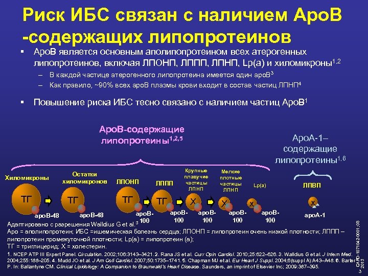 Риск ИБС связан с наличием Apo. B -содержащих липопротеинов § Apo. B является основным