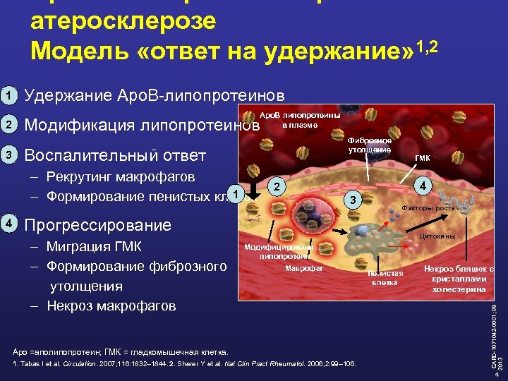 атеросклерозе Модель «ответ на удержание» 1, 2 1 § Удержание Apo. B-липопротеинов Apo. B