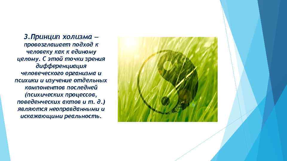 3. Принцип холизма — провозглашает подход к человеку как к единому целому. С этой