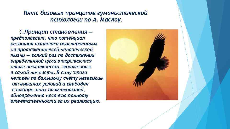 Пять базовых принципов гуманистической психологии по А. Маслоу. 1. Принцип становления — предполагает, что