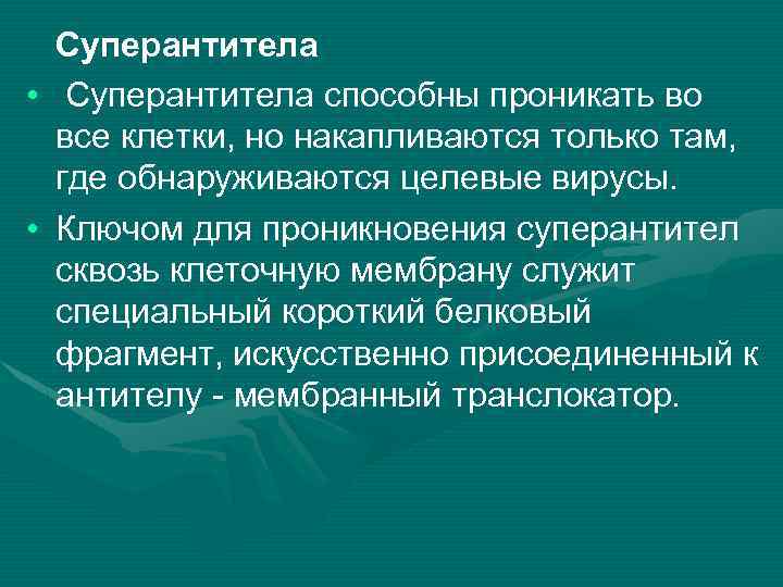 Суперантитела • Суперантитела способны проникать во все клетки, но накапливаются только там, где обнаруживаются