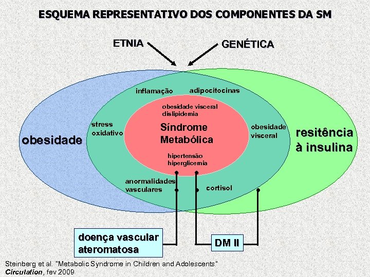 ESQUEMA REPRESENTATIVO DOS COMPONENTES DA SM ETNIA GENÉTICA adipocitocinas inflamação obesidade visceral dislipidemia obesidade