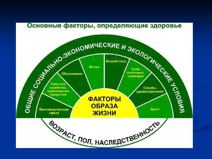 Факторы определяющие здоровье человека