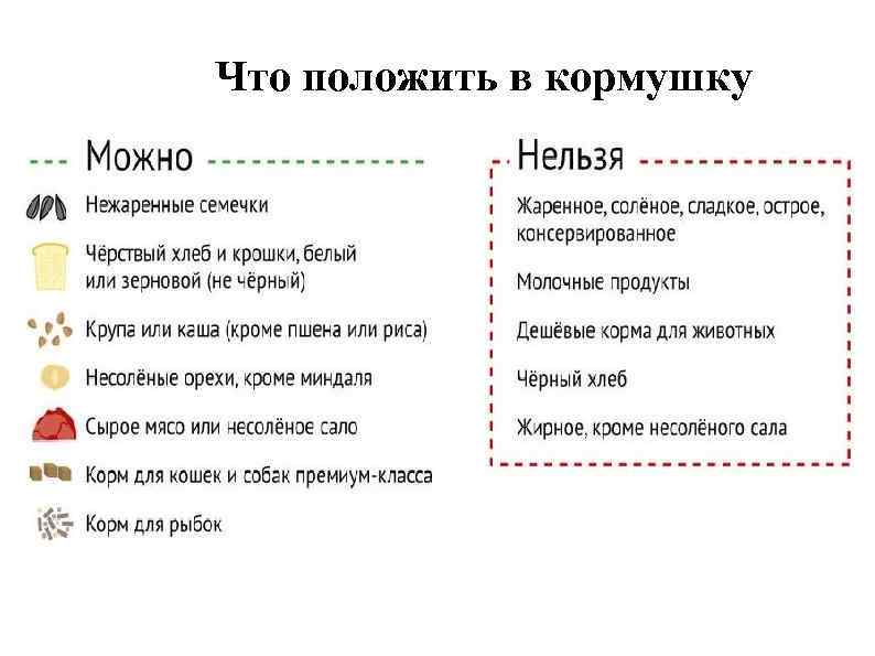 Нельзя положить. Что можно положить в кормушку. Что положить в кормушку для птиц. Что класть в кормушку для птиц. Что положить в кормушку для птиц зимой.