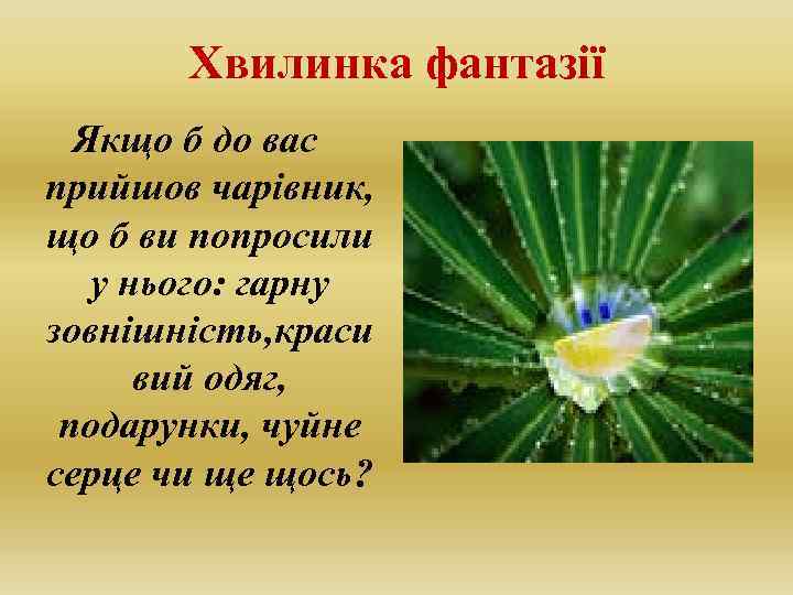 Хвилинка фантазії Якщо б до вас прийшов чарівник, що б ви попросили у нього: