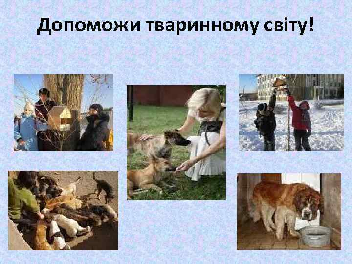 Допоможи тваринному світу! 