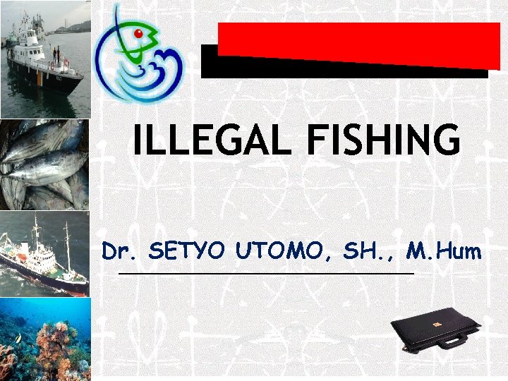 ILLEGAL FISHING Dr. SETYO UTOMO, SH. , M. Hum 