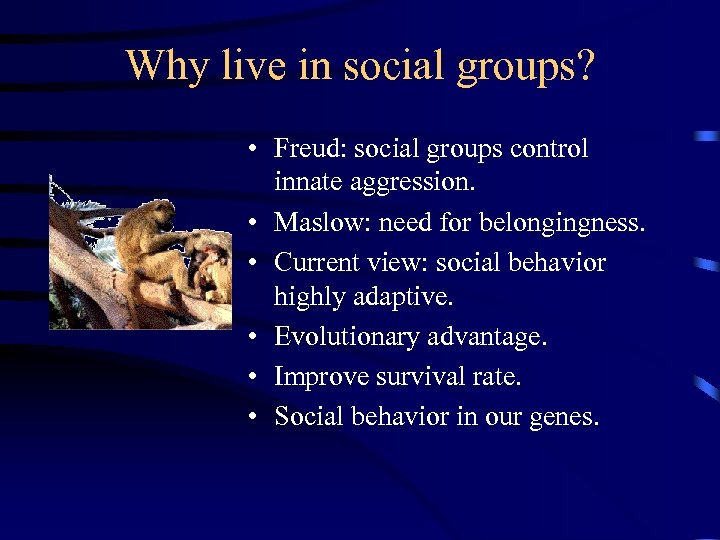 Why live in social groups? • Freud: social groups control innate aggression. • Maslow: