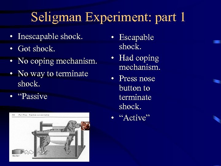 overmier and seligman experiment