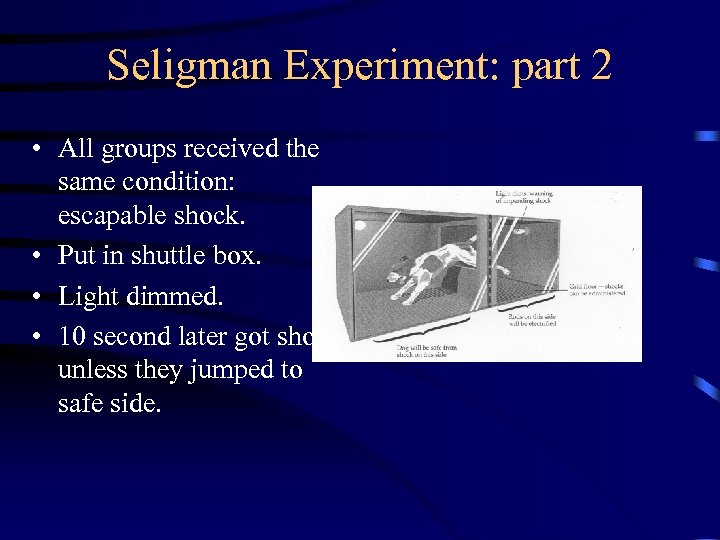 Seligman Experiment: part 2 • All groups received the same condition: escapable shock. •