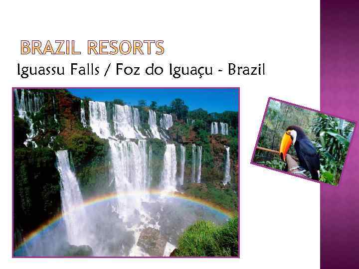Iguassu Falls / Foz do Iguaçu - Brazil 