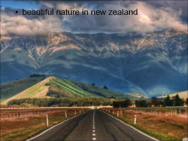  • beautiful nature in new zealand 