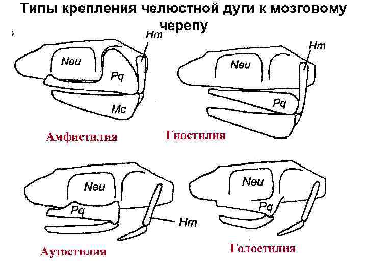 Биотехнология московский политех учебный план