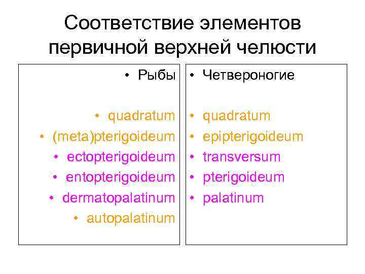 Соответствие элементов первичной верхней челюсти • Рыбы • Четвероногие • quadratum • (meta)pterigoideum •