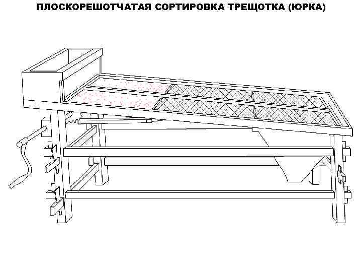 ПЛОСКОРЕШОТЧАТАЯ СОРТИРОВКА ТРЕЩОТКА (ЮРКА) 