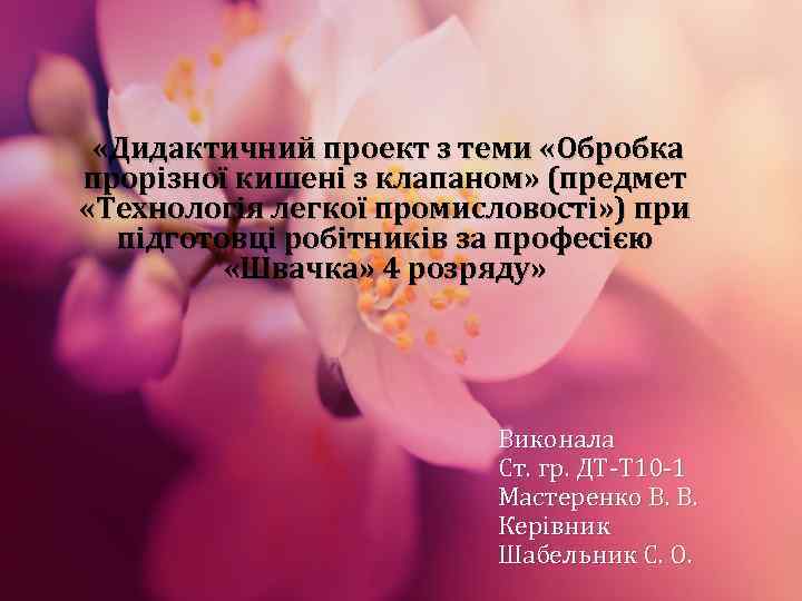  «Дидактичний проект з теми «Обробка прорізної кишені з клапаном» (предмет «Технологія легкої промисловості»