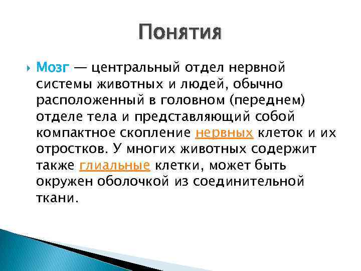 Понятия Мозг — центральный отдел нервной системы животных и людей, обычно расположенный в головном