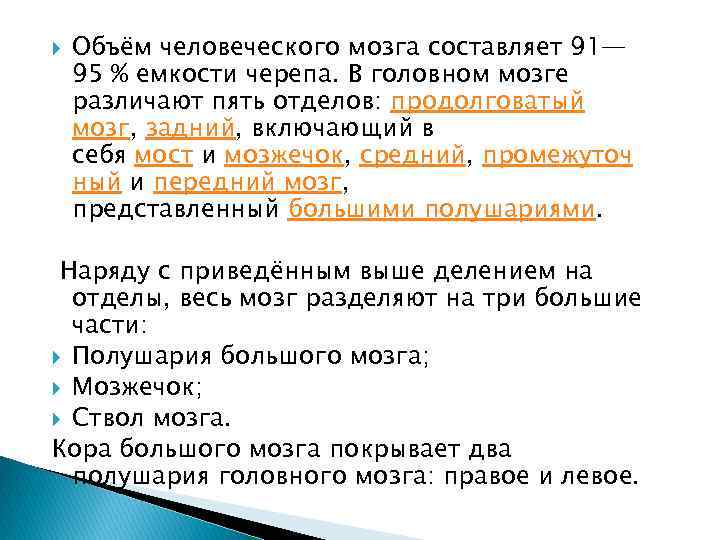  Объём человеческого мозга составляет 91— 95 % емкости черепа. В головном мозге различают