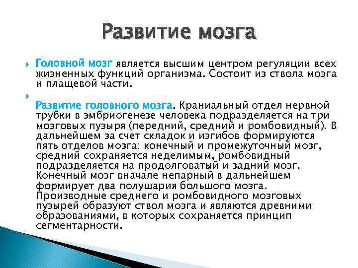 Развитие мозга Головной мозг является высшим центром регуляции всех жизненных функций организма. Состоит из