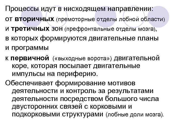 Процессы идут в нисходящем направлении: от вторичных (премоторные отделы лобной области) и третичных зон