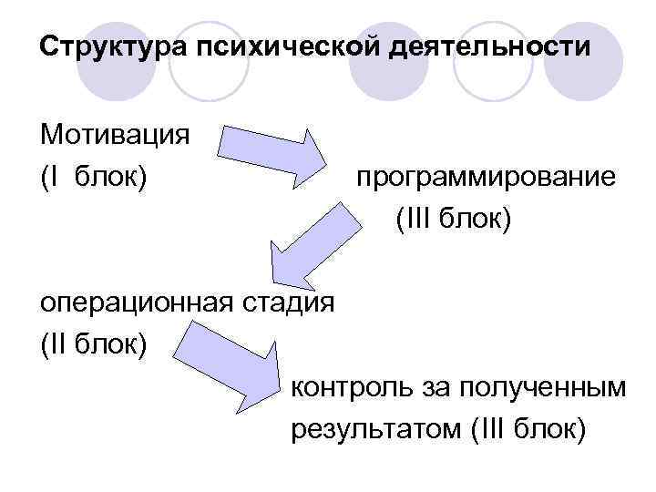 Из каких блоков состоит