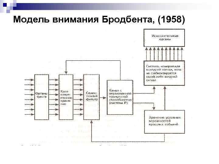 Блок схема внимания как ранней селекции информации