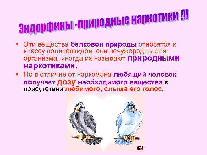  • Эти вещества белковой природы относятся к классу полипептидов, они нечужеродны для организма,