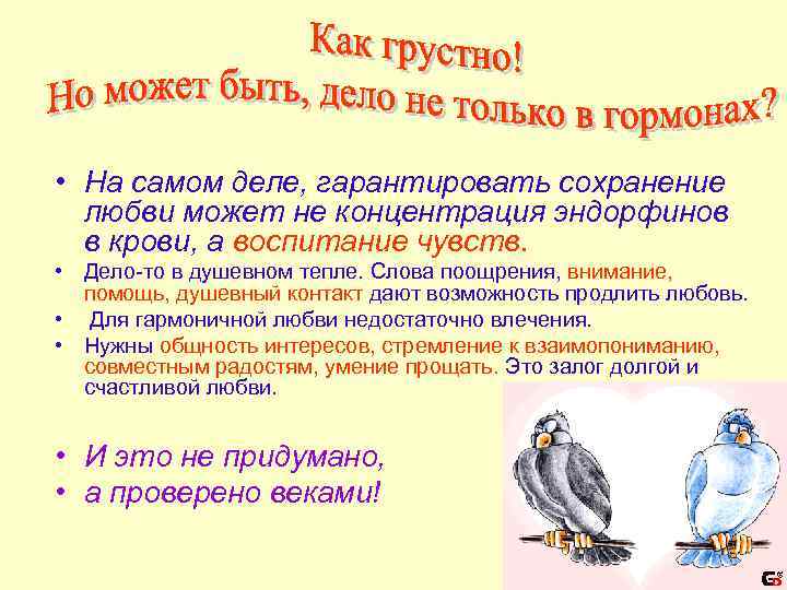  • На самом деле, гарантировать сохранение любви может не концентрация эндорфинов в крови,